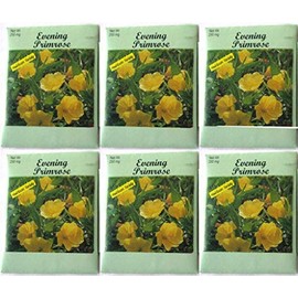 (6 Pack) 250 mg/Package Evening Primrose Heirloom Variety Seeds