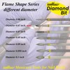 ianblues Nail Drill Flame-Shape Diamond Bit EFile for Nail Techs