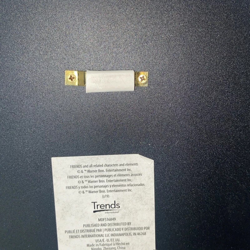 FRIENDS The TV Series 11.75" Cast Picture Door Frame Wall