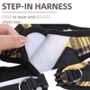 PUPTECK Adjustable Dog Harness Collar and Leash Set Step in