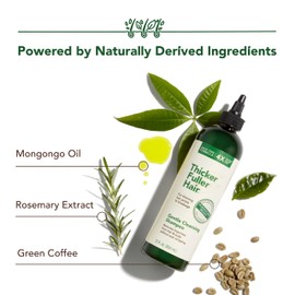 Thicker Fuller Hair Gentle Cleansing Shampoo - Hair Thickening, Clarifying Shampoo - Lightweight, Natural Formula with Rosemary and Coffee Oil - 12 oz