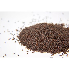 Home grown Kale Dwarf Siberian HEIRLOOM 100+ Seeds Premium 100% Organic Grown In USA