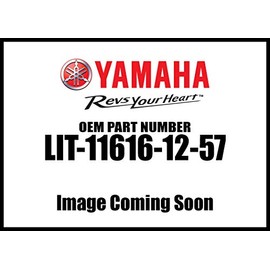1999 Yamaha TT-R 250 L(C) Service Manual