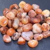 Carnelian Red Agate Tumbled (1/2 lb) 8 oz Bulk Wholesale