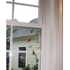 Birds iView Window Clings