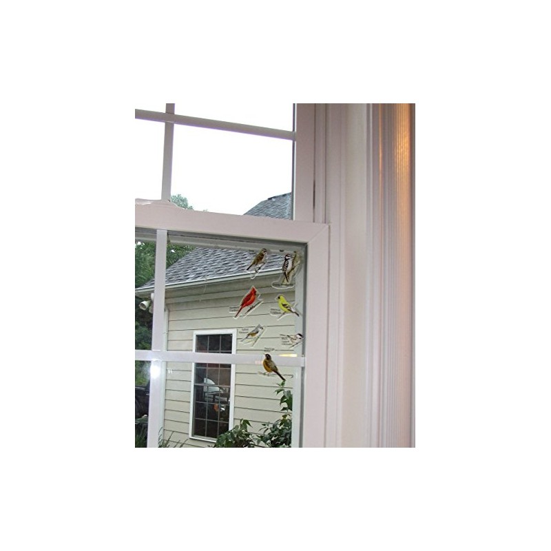 Birds iView Window Clings