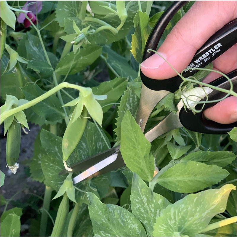 CANARY Japanese Garden Scissors Heavy Duty Offset Trimming Snips for