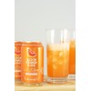 AmishTastes Frannie’s Blood Orange Bliss Sparkling Beverage, Protected With High-Density
