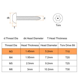 QUARKZMAN M3 x 25mm Torx Security Tapping Screws with Pan Head 30 Pieces Tamper Evident Self Tapping Screws Made of 304 Stainless Steel (Silver)