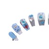 PN-011 Press-On Nails Lacquered 10 Pieces Reusable False Nails Y2K