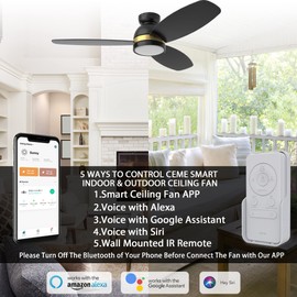 52" Low Profile Ceiling Fan with Dimmable LED Light, Modern Ceiling Fan with reversible DC motor, Smart Ceiling Fan Controlled by APP, Remote, Google Home, Alexa and Siri Shortcut, Black Ceiling Fan