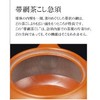 Tetera japonesa Kyusu tokoname hecha a mano de arcilla 8.7