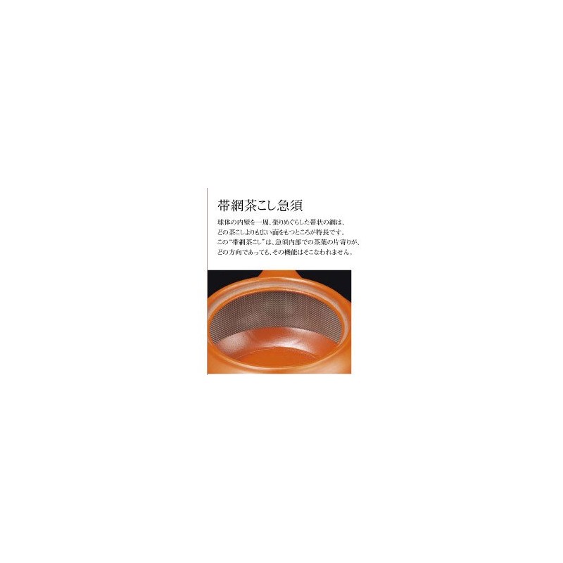 Tetera japonesa Kyusu tokoname hecha a mano de arcilla 8.7