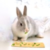 Rabbit Foraging Toy Rabbit Enrichment Toys Interactive Hide Treats for