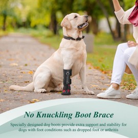 Strap-On Drop Foot Brace (No Knuckling Boot Brace) for Dogs— Corrective Dog Shoes to Safely Lift Toes for Foot Issues, Arthritis, and improving Walking gait in Dogs(XL)