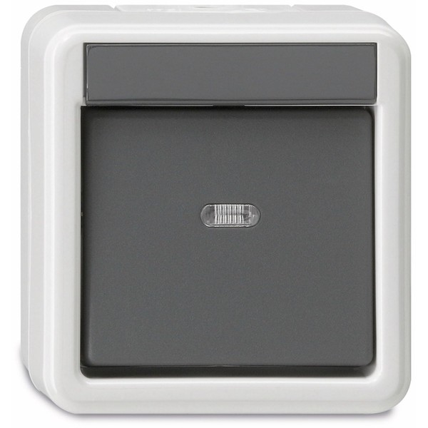 GIRA 010630 Rocker Switch Water-Protected Surface-Mounted Grey