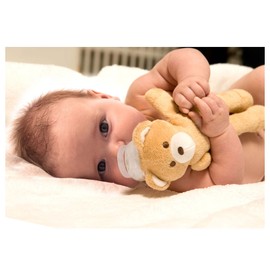 Papagino PACI friends giraffe PACF001