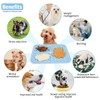 Lick Mat, Lick Bowl, Spatula and Cleaning Brush for Dogs