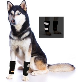 NeoAlly Pair of Front Leg Braces for Dog & Cat Canine Carpal Support with Safety Reflective Straps for Injury Prevention, Joint Pain and Loss of Stability from Arthritis (XXS/XS Pair)