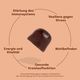 Reishi Mushroom - Reishi Gummies | 200 mg Organic Extract | 60 Vegan, Sugar-Free Gummies for Immune System & Wellbeing | Sundt Nutrition