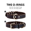 DAIHAQIKO DAIHAQIKO Genuine Leather Dog Collar, Heavy Duty Wide Dog
