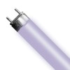 Helios 6 Pack T5 Bulb 24W Aquarium Light Bulb HO