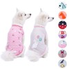 Blueberry Pet Pack of 2 Soft & Comfy Wonderland Striped
