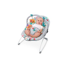 Bright Starts Baby Bouncer Soothing Vibrations Infant Seat - Taggies, Music, Removable -Toy...
