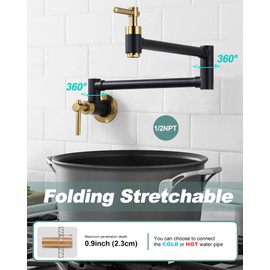 iVIGA Pot Filler Faucet, Brass Wall Mount Kitchen Faucet Black & Gold Folding Stretchable with Double Joint Swing Arm Single Hole 2 Handles for Kitchen, Stove Faucet