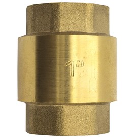 SHYNE SHYNE Premium 1 Zoll Rückschlagventil aus hochwertigem Messing robust, rostfrei und wasserdicht für Pumpe, Brunnen, Waschmaschine, Garten, Regentonne, Fass (2er Pack)