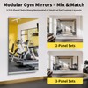 InfiniGlass Home Gym Mirror - 55x30 Inch, 2PCS Frameless Tempered