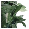Green Market Follaje Rollo 1mx3m Muro Hoja Verde Plantas Artificiales