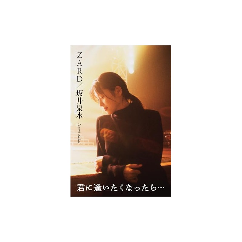 『ZARD/坂井泉水 ～君に逢いたくなったら…』 (四六判／ハードカバー／256P～272P予定)