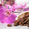 bhomescent Orchid Care Repotting Bark Fine grade, 8-15mm 1L, 2L,