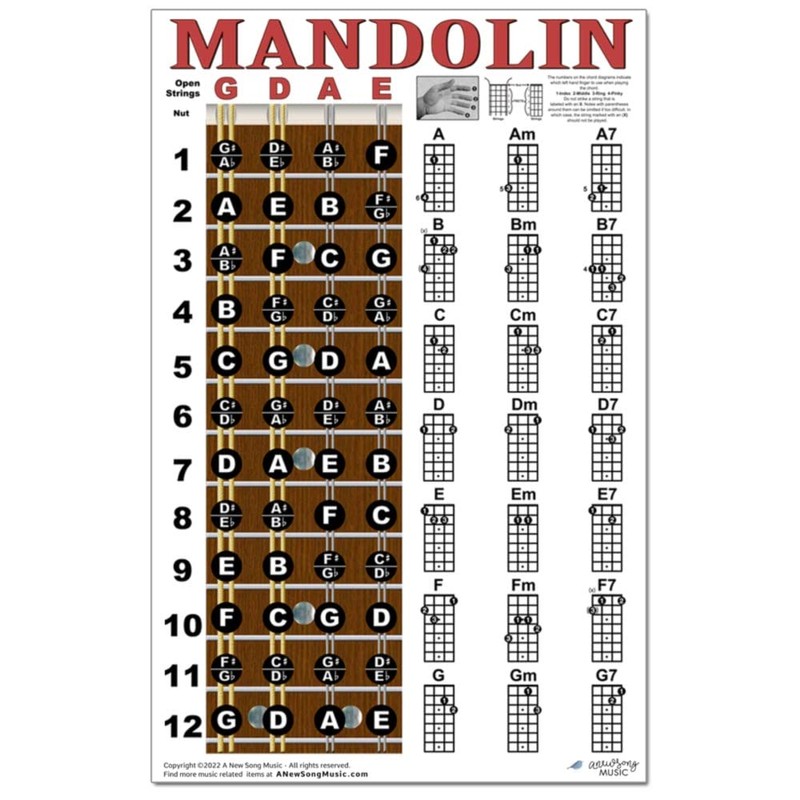 Laminated Mandolin Fretboard Notes & Easy Beginner Chord Chart 11"x17"