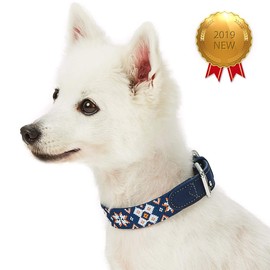 Blueberry Pet 3 Patterns Southwestern Modern Tribal Print Genuine Leather & Polyester Fabric Combo Dog Collar with Metal Buckle - Navy Braided, Medium, Neck 15"-18"