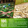 TOG999, Permium Moringa Ginger Herbal Tea – 120 Tea Bags