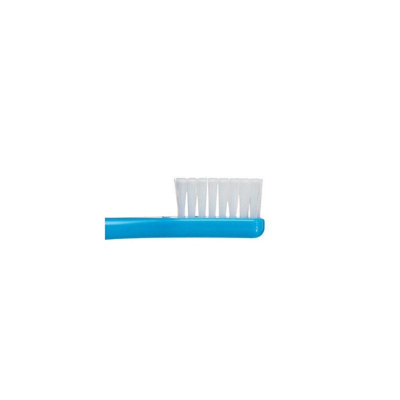 Oral Care Tuft 24 Toothbrush SS No Cap Pack of