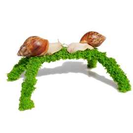 Jinymral 6 Inch Pet Snail Climbing Toys, Ideal Snail Terrarium Accessories
