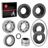 Rear Differential Bearing & Seal KIT for Honda Rincon 650