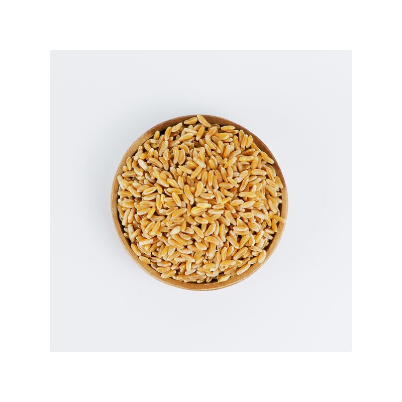 Kim So-hyung's studio Kamut Enzyme Powder Powder Kamut Brand Wheat