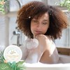 BERGMAN KELLY - Hotel Soap Bars in Bulk - Tropical
