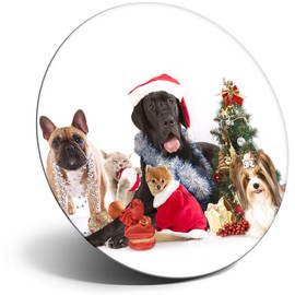 Destination Vinyl ltd Magnet for Refrigerator, Fridge - Cute Dogs Cats Christmas Festive for Office, Cabinet and Whiteboard, Magnetic Stickers, 8126