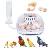 NORJIN 12 Digital Egg Incubator Automatic Egg Turning ＆Water Adding