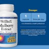 Natural Factors WellBetX Extracto de Morera – 100 mg, 90
