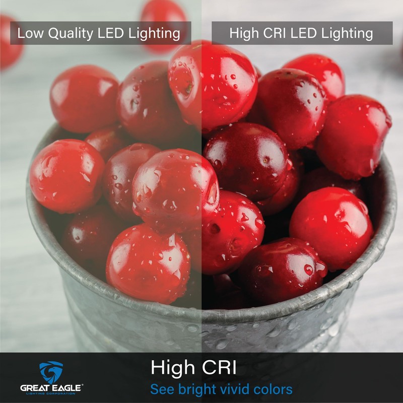 Great Eagle A19 LED Light Bulb, 9W (60W Equivalent), UL
