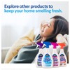 Clorox Fraganzia Refresher Spray 22oz Lavender w/Eucalyptus | Multi-Use Fabric