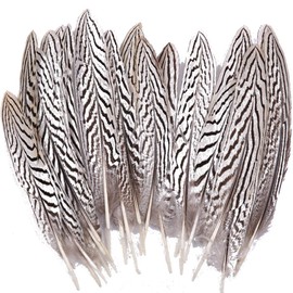 Sowder 10pcs Silver Pheasant Plumage Feathers 7-10 Inches Home Wedding Decoration