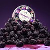 Dewberry Body Butter, 1.7 fl oz (50 ml)