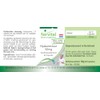 Hyaluronic Acid 50 mg - Vegan - 60 Capsules